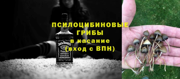 прущие грибы Алексеевка