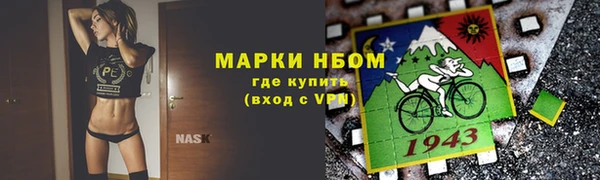 прущие грибы Алексеевка