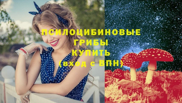 прущие грибы Алексеевка