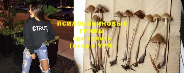 бутират Алексин