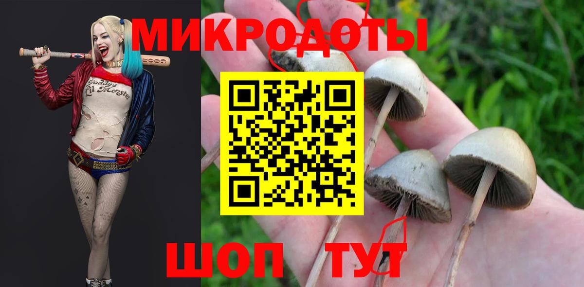 Старая Русса  как найти наркотики  Галлюциногенные грибы Magic Shrooms  Вход с VPN  Галлюциногенные грибы Magic Shrooms 