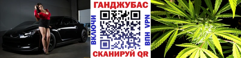как найти   Старая Русса  Бошки Шишки SATIVA & INDICA 